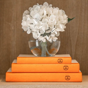 3 Vol- H Stack / Off- White Cover / 6.75"- 9.5"