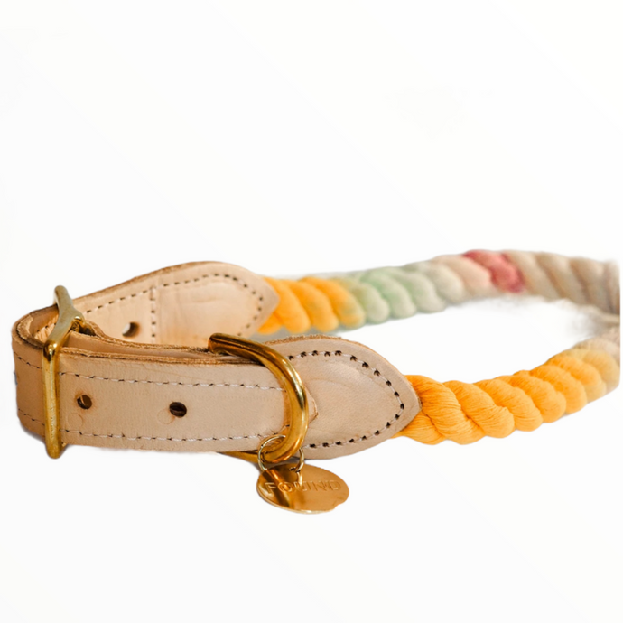 Noelle Ombre Rope & Leather Cat & Dog Collar