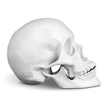 Load image into Gallery viewer, Skull - White