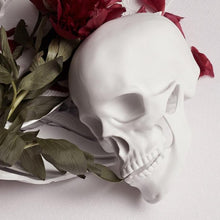 Load image into Gallery viewer, Skull - White