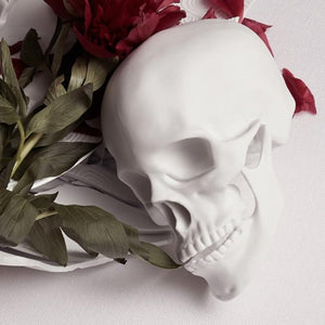 Skull - White